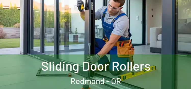 Sliding Door Rollers Redmond - OR